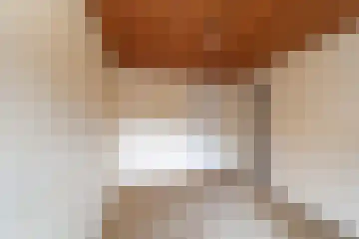 Pater van Boxtelweg 3 Ewijk thumbnail 17