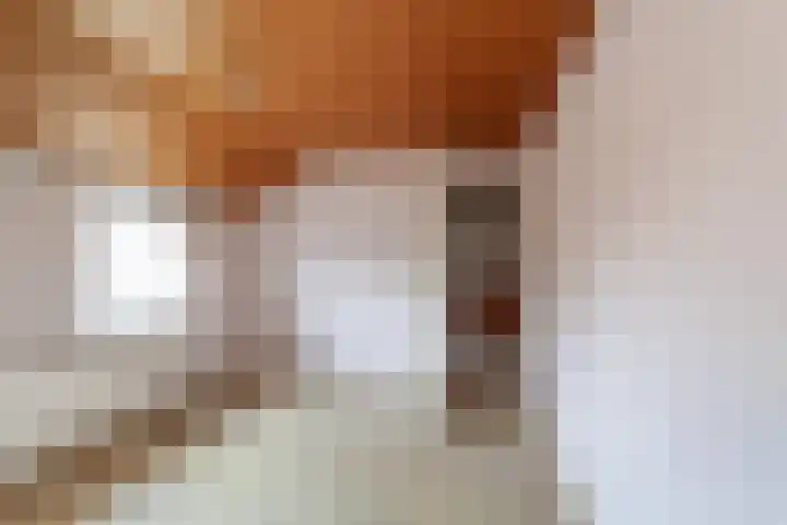 Pater van Boxtelweg 3 Ewijk thumbnail 18