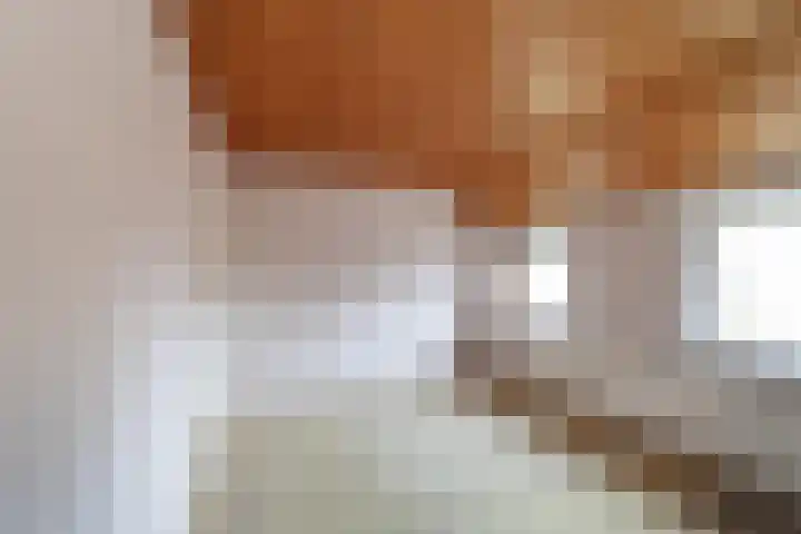 Pater van Boxtelweg 3 Ewijk thumbnail 5