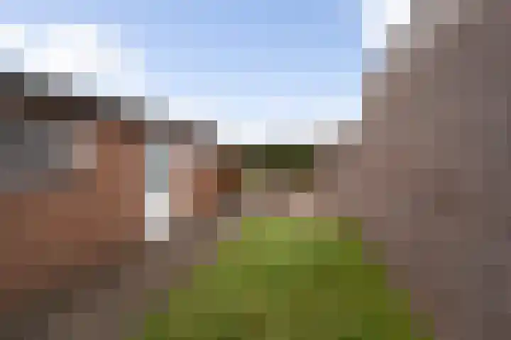 Pater van Boxtelweg 3 Ewijk thumbnail 6