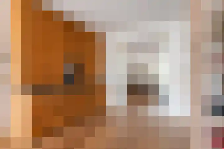 Pater van Boxtelweg 5 Ewijk thumbnail 12
