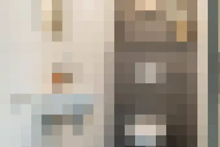 Pater van Boxtelweg 5 Ewijk thumbnail 19