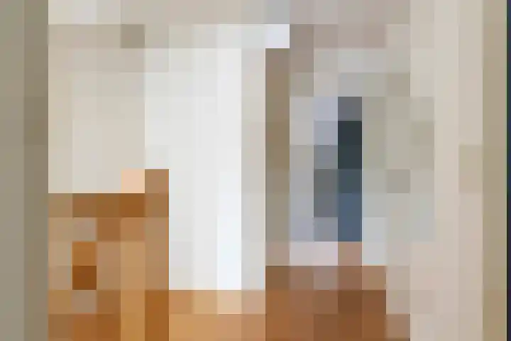 Pater van Boxtelweg 5 Ewijk thumbnail 23