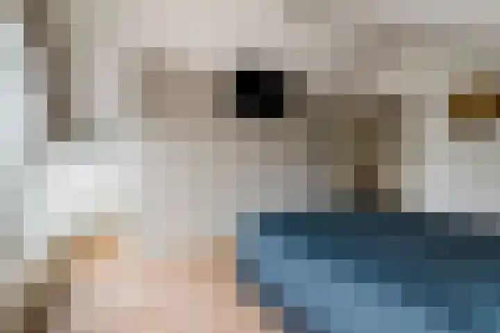 Pater van Boxtelweg 5 Ewijk thumbnail 27