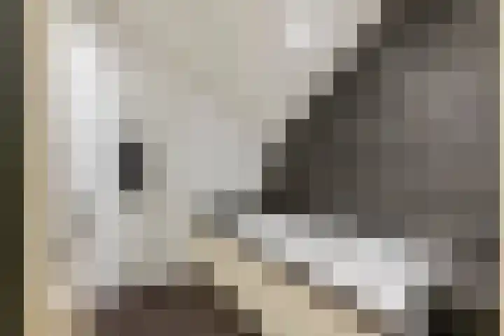 Pater van Boxtelweg 5 Ewijk thumbnail 28