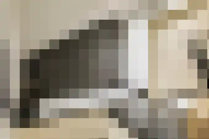 Pater van Boxtelweg 5 Ewijk thumbnail 31