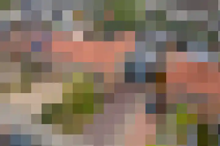 Pater van Boxtelweg 5 Ewijk thumbnail 44