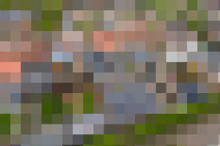 Pater van Boxtelweg 5 Ewijk thumbnail 45