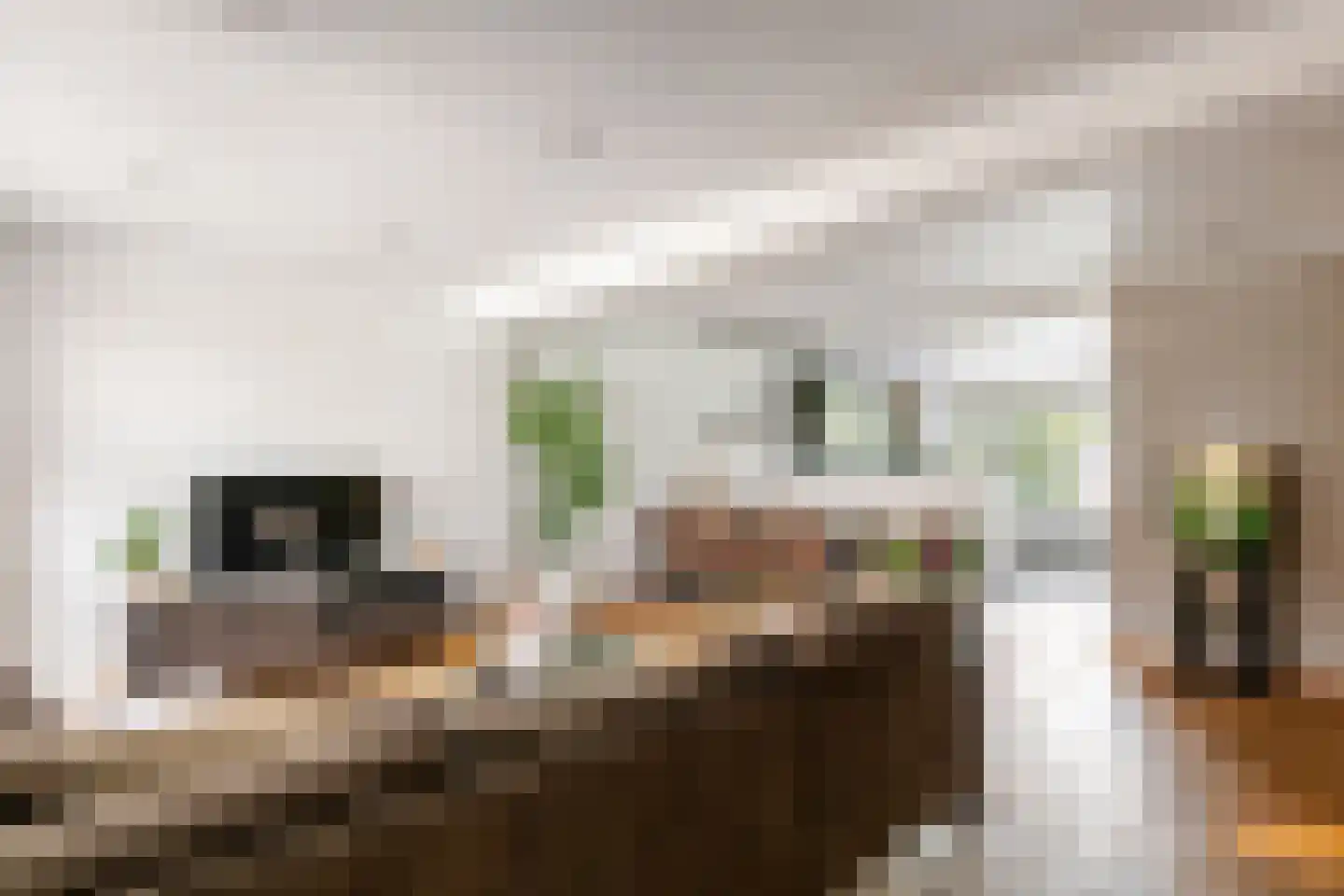Pater van Boxtelweg 9 Ewijk thumbnail 13