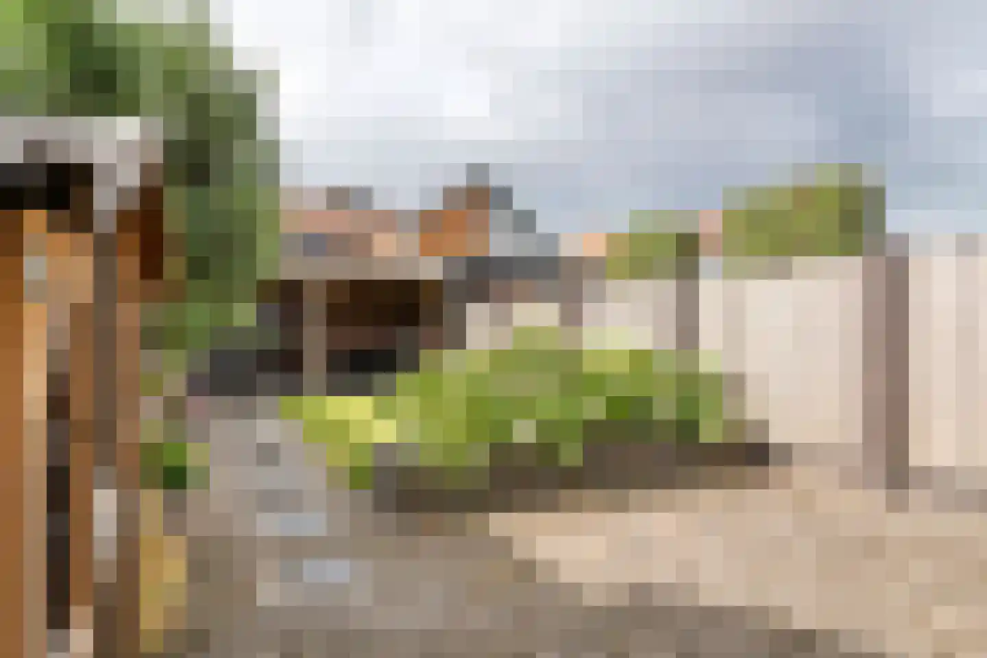 Pater van Boxtelweg 9 Ewijk thumbnail 30