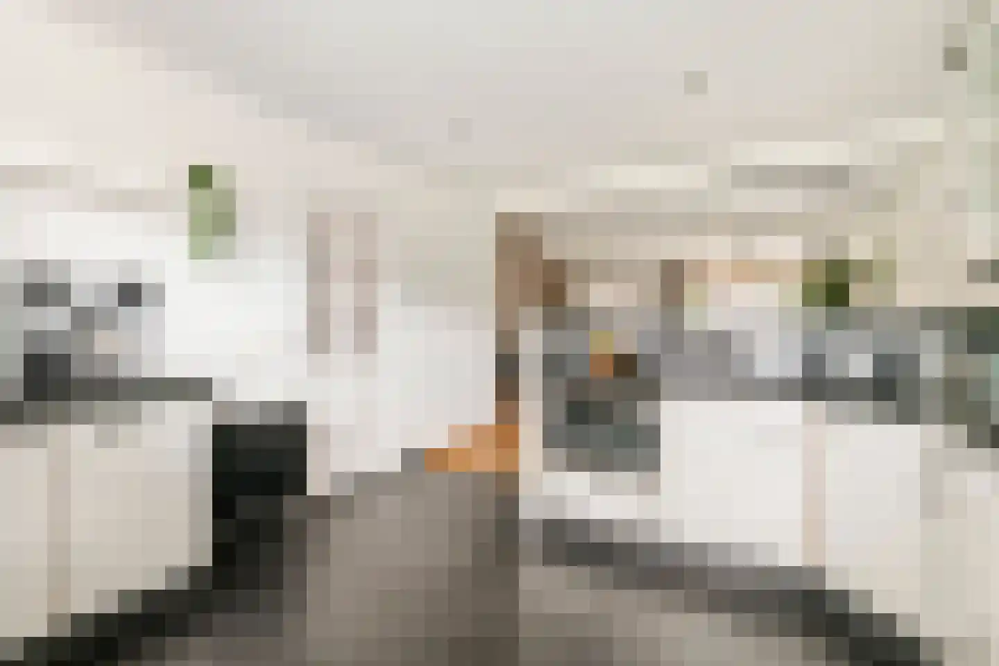 Pater van Boxtelweg 9 Ewijk thumbnail 8