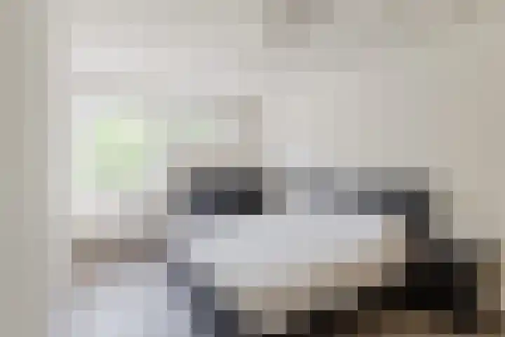Pater van den Elsenpad 3 Goirle thumbnail 15