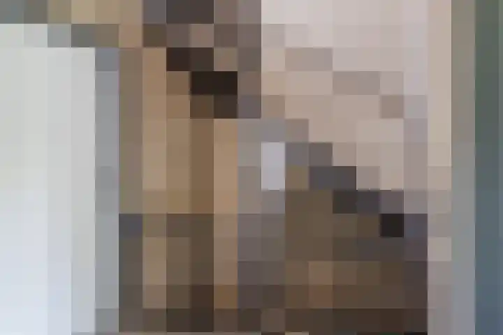 Pater van den Elsenpad 3 Goirle thumbnail 22
