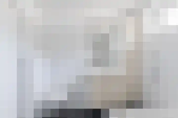 Pater van den Elsenpad 3 Goirle thumbnail 24