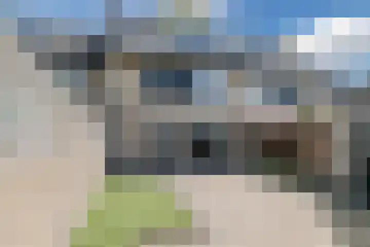 Pater van den Elsenpad 3 Goirle thumbnail 31