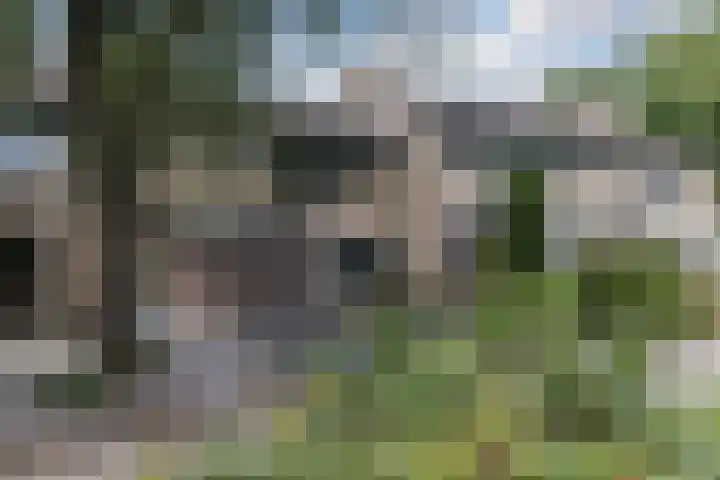 Pater van den Elsenpad 3 Goirle thumbnail 35