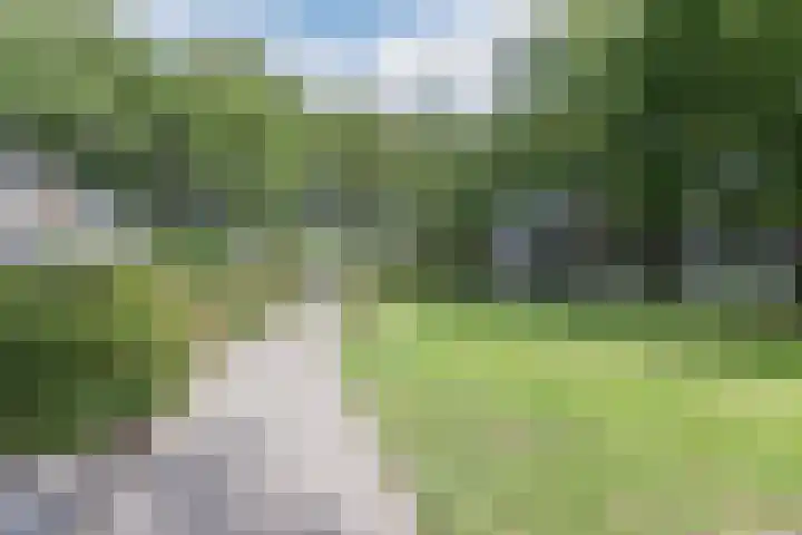 Pater van den Elsenpad 3 Goirle thumbnail 38