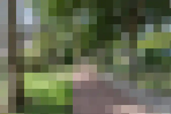 Pater van den Elsenpad 3 Goirle thumbnail 40