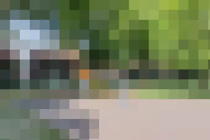 Pater van den Elsenpad 3 Goirle thumbnail 41
