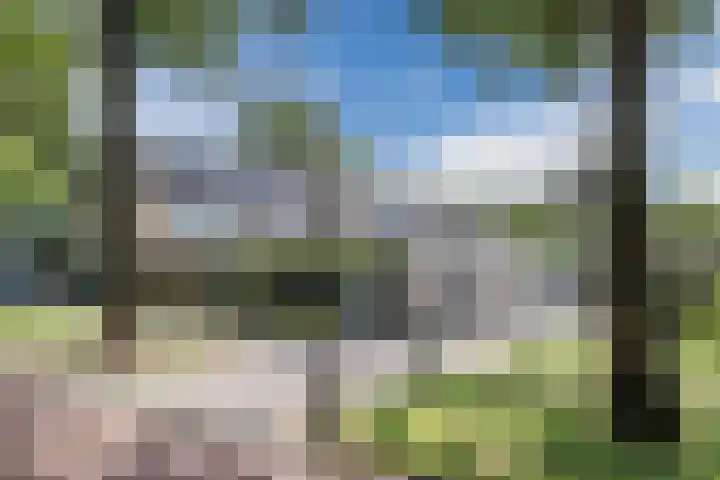 Pater van den Elsenpad 3 Goirle thumbnail 42