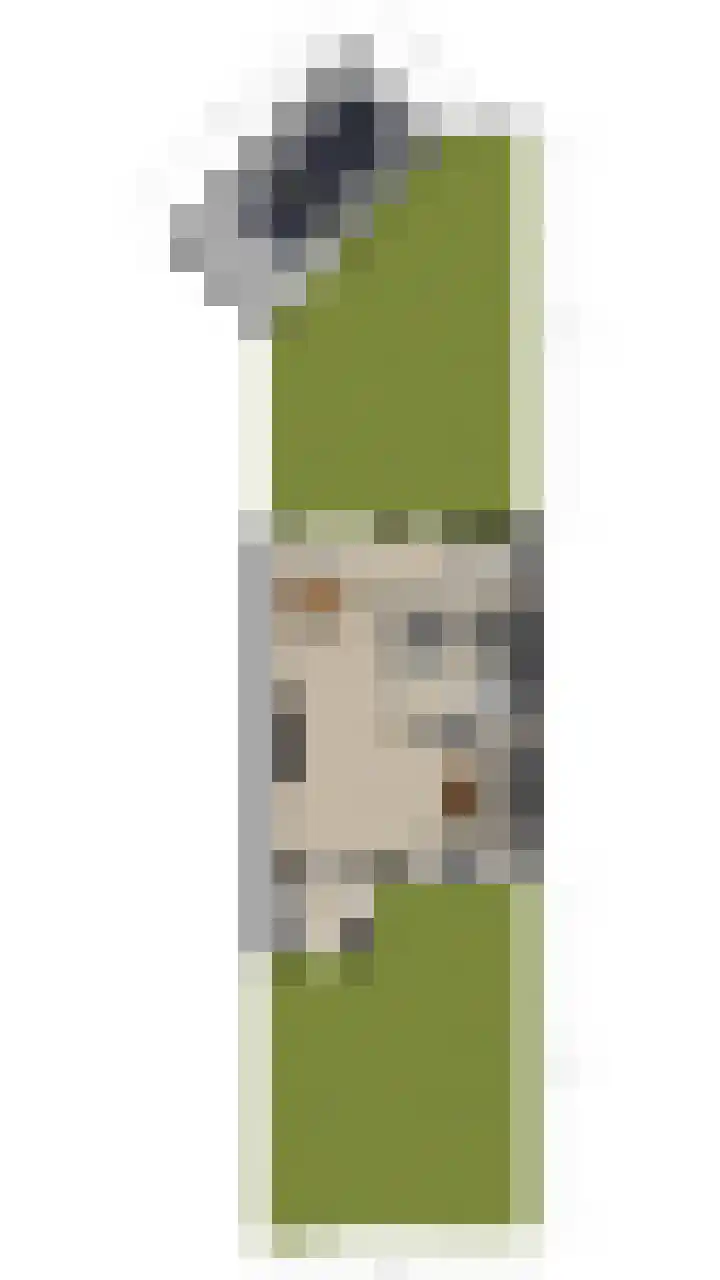 Pater van den Elsenpad 3 Goirle thumbnail 45