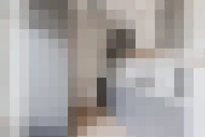 Pater van den Elsenpad 3 Goirle thumbnail 8