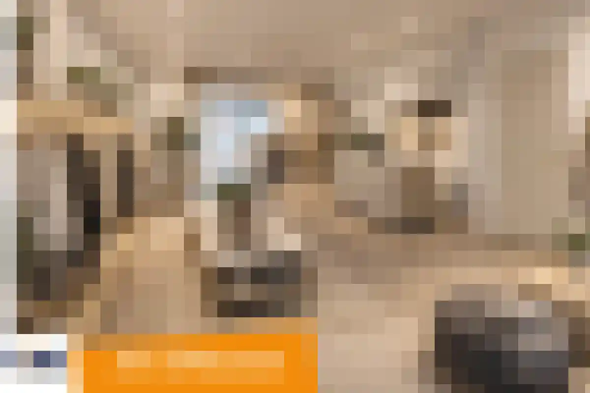 Pater van den Elsenplein 2 Tilburg thumbnail 16