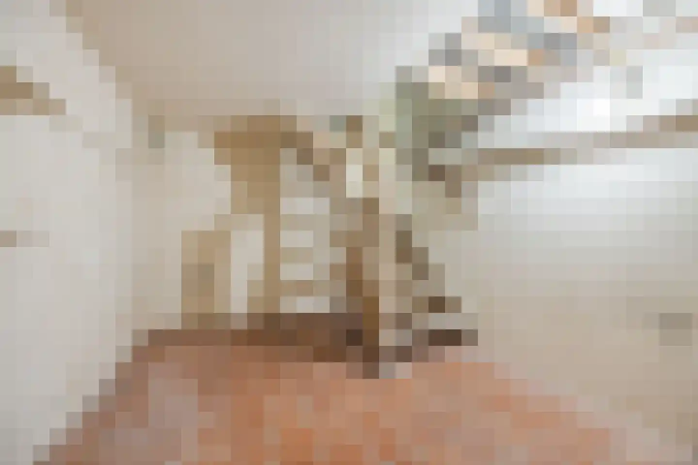 Pater van den Elsenplein 2 Tilburg thumbnail 17
