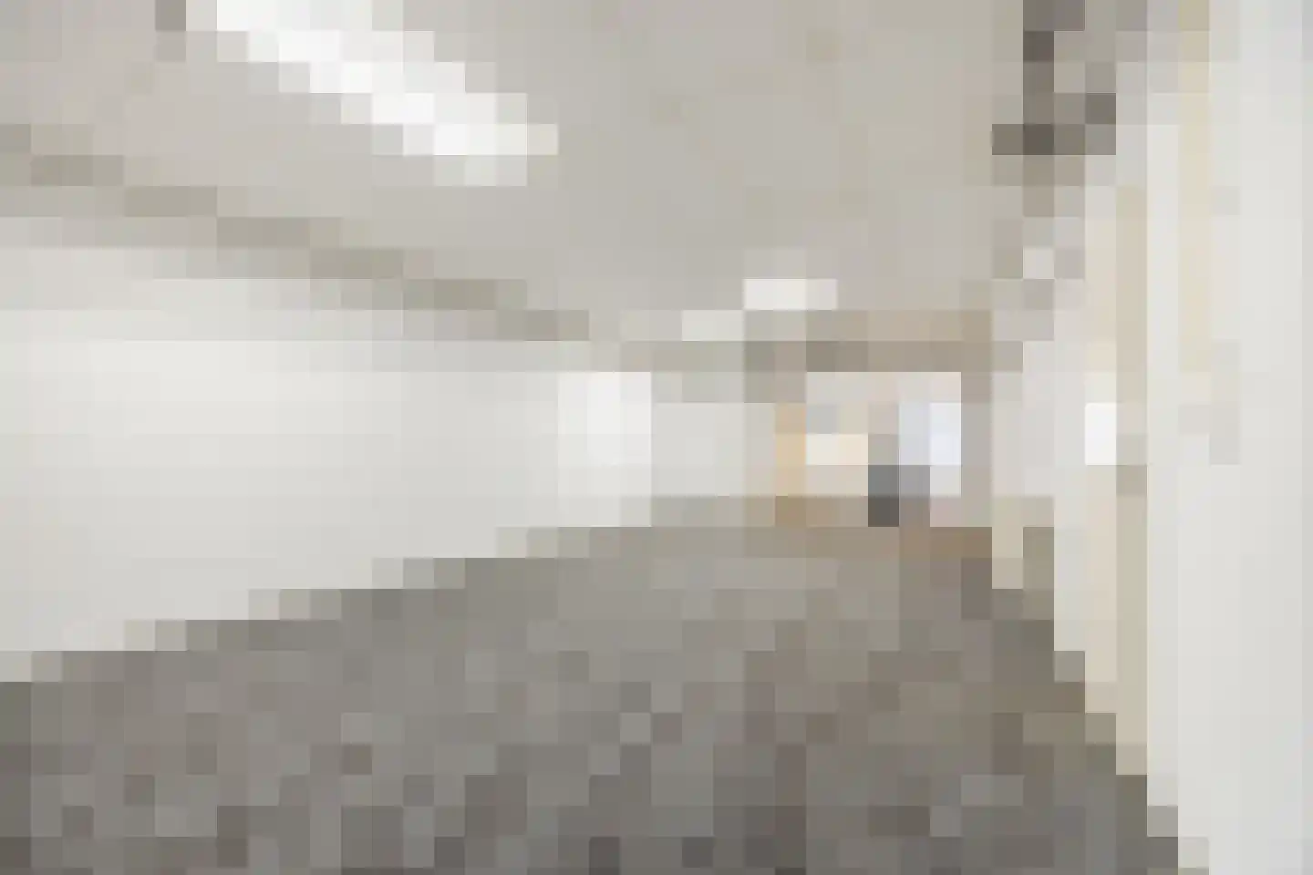 Pater van den Elsenplein 2 Tilburg thumbnail 20
