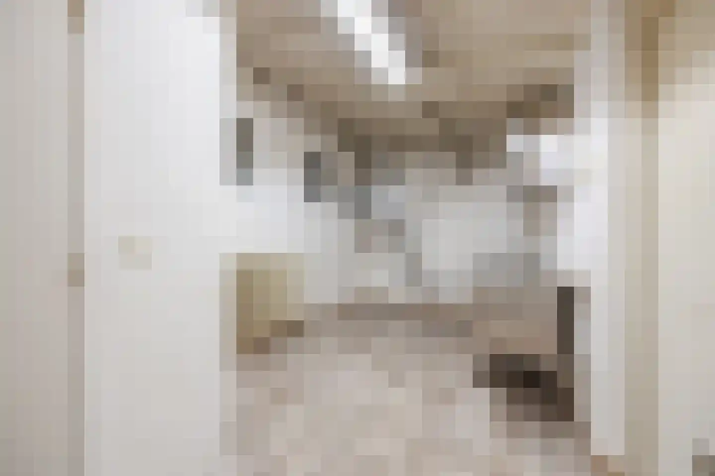 Pater van den Elsenplein 2 Tilburg thumbnail 21