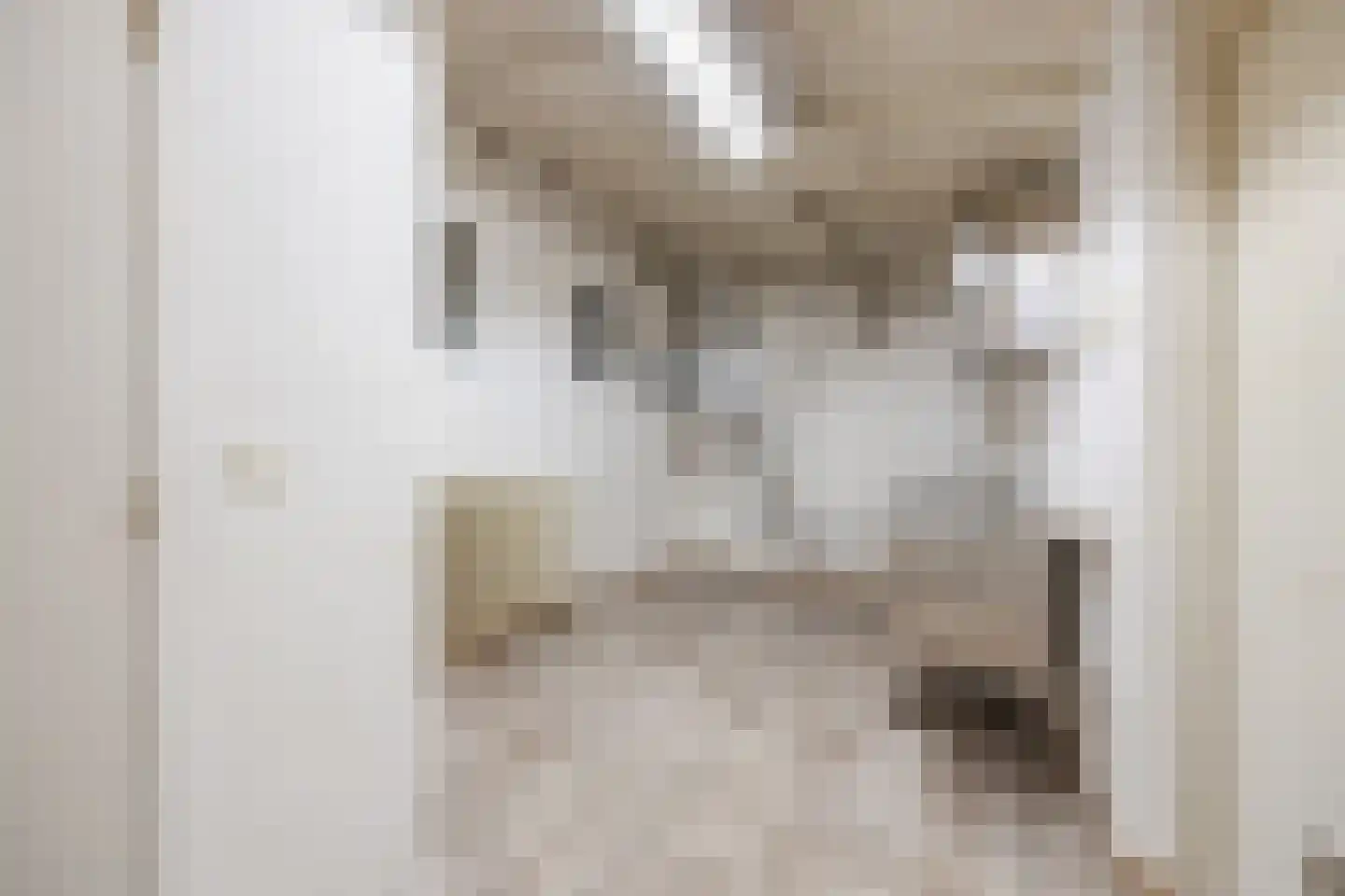 Pater van den Elsenplein 2 Tilburg thumbnail 23