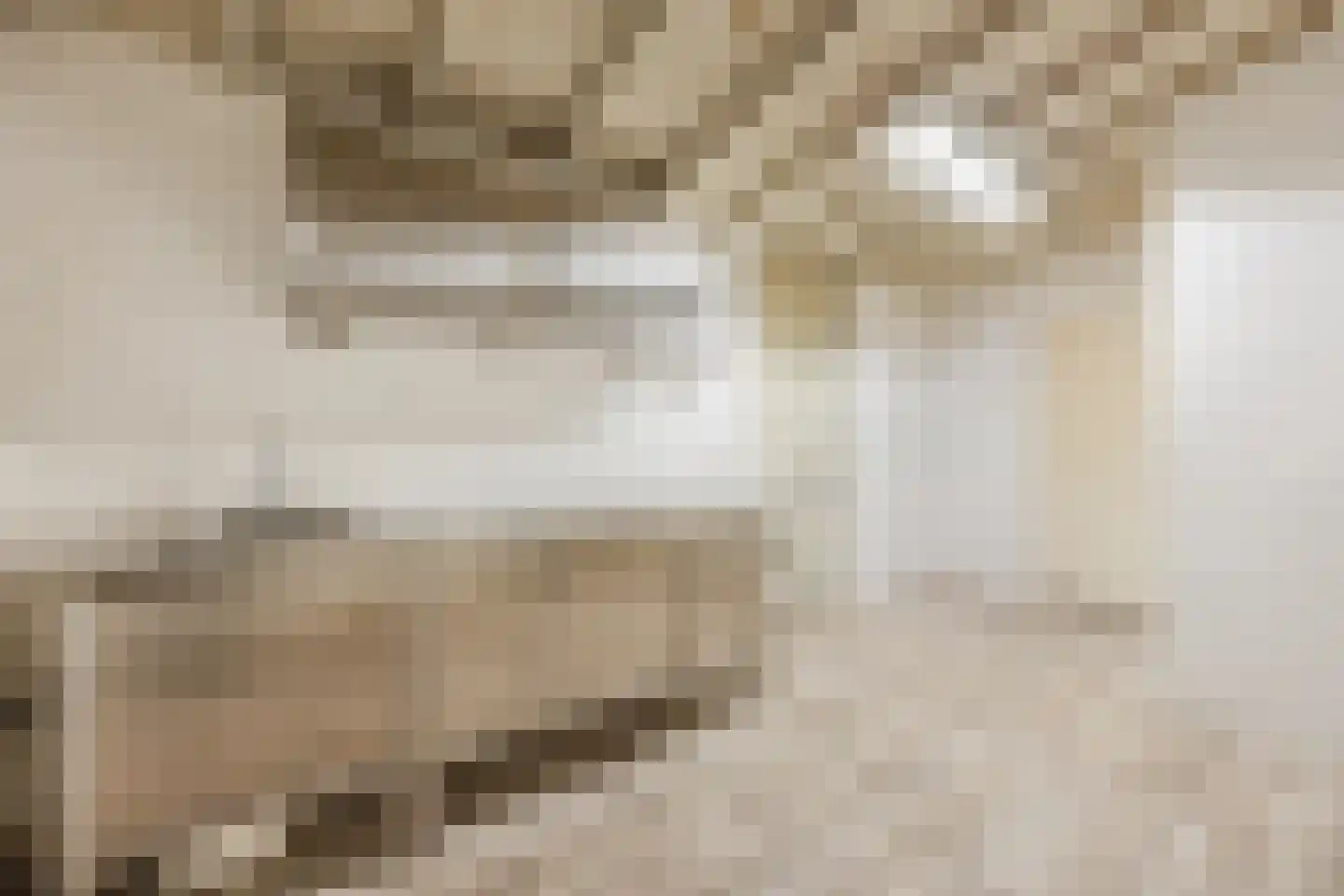 Pater van den Elsenplein 2 Tilburg thumbnail 23