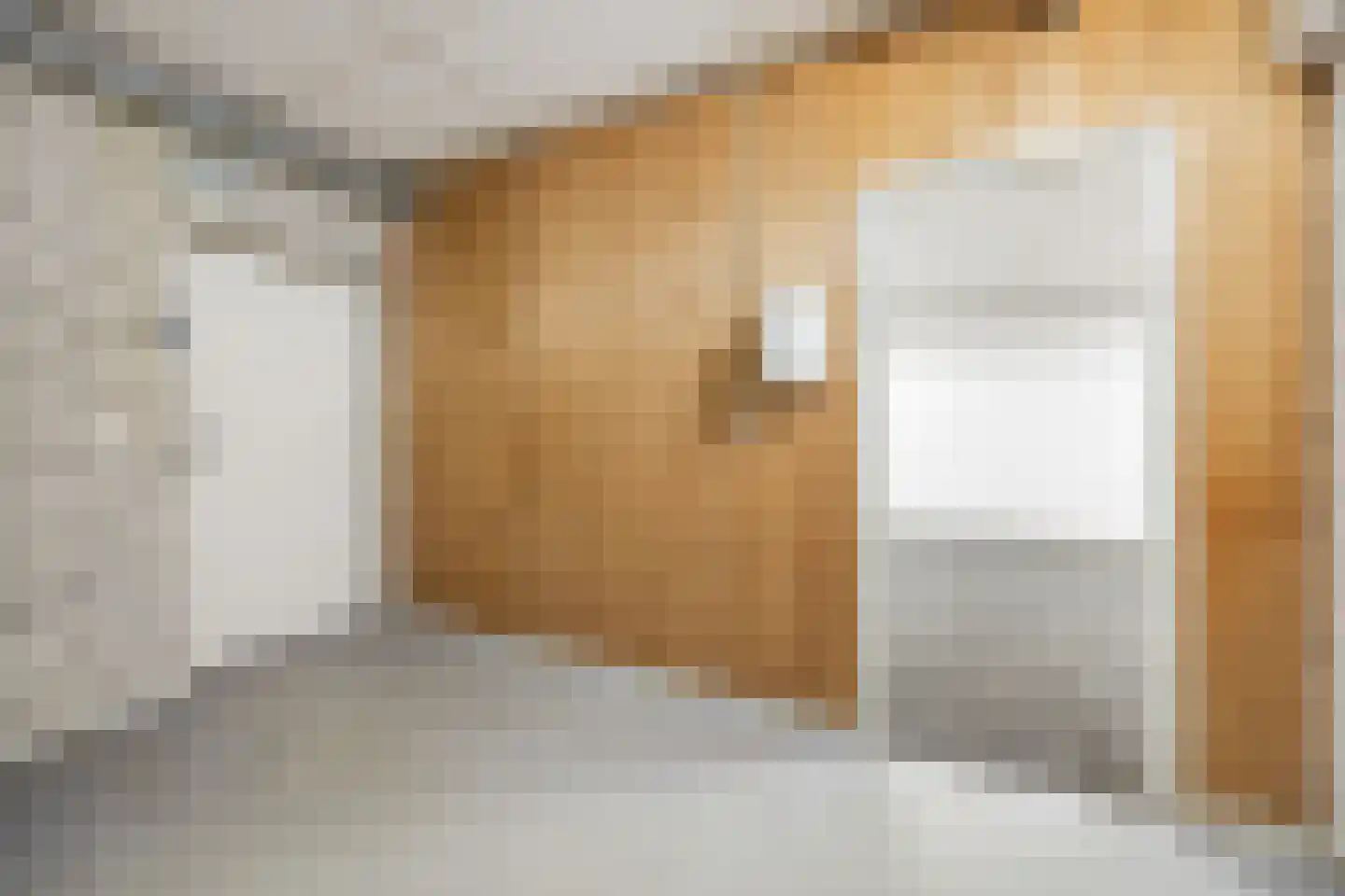 Pater van den Elsenplein 2 Tilburg thumbnail 25