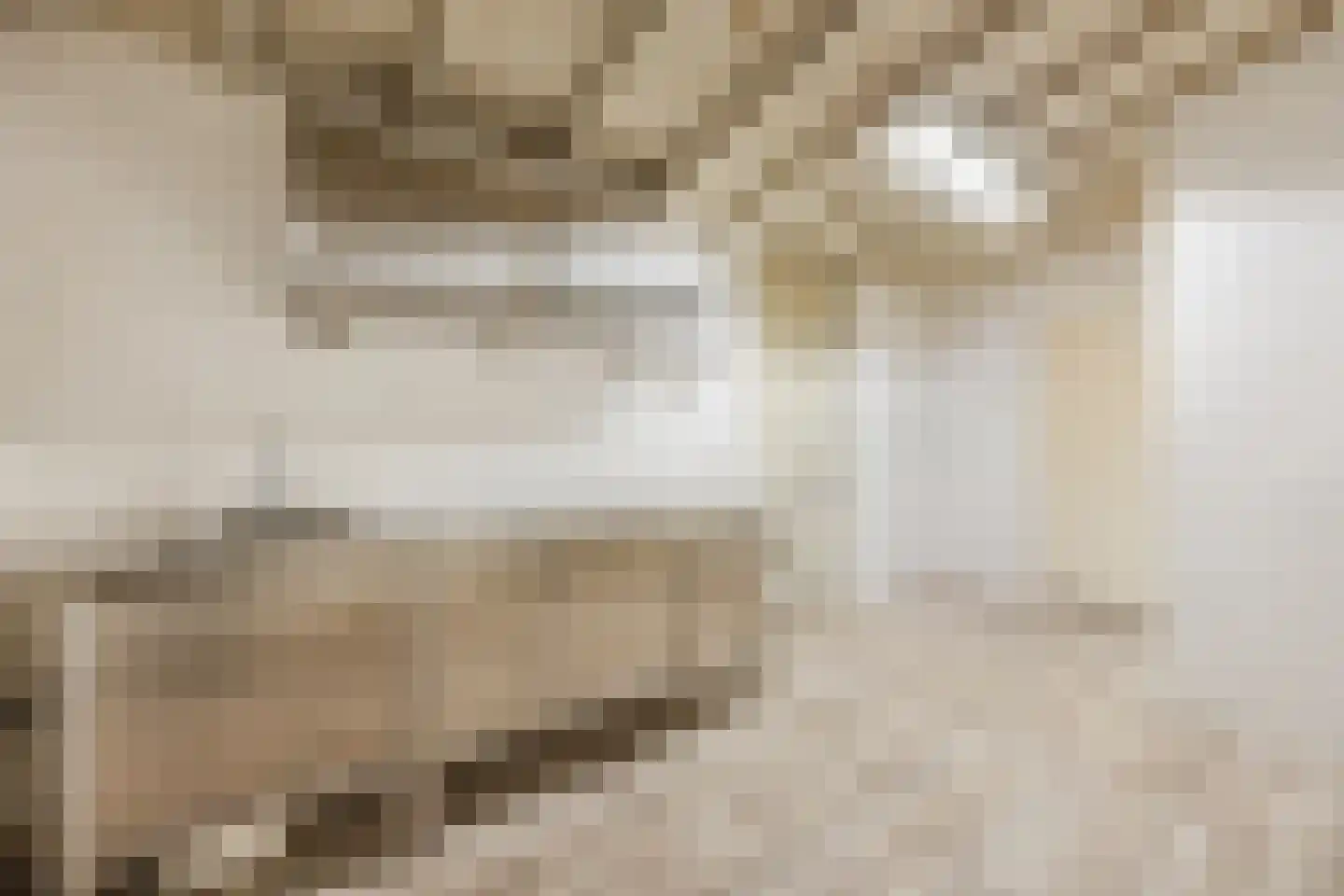 Pater van den Elsenplein 2 Tilburg thumbnail 27