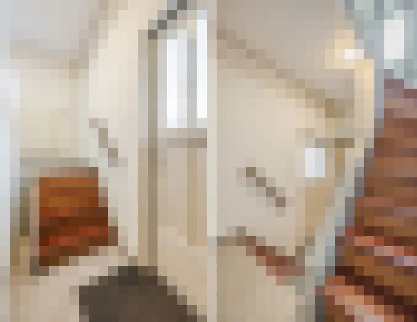 Pater van den Elsenplein 2 Tilburg thumbnail 27