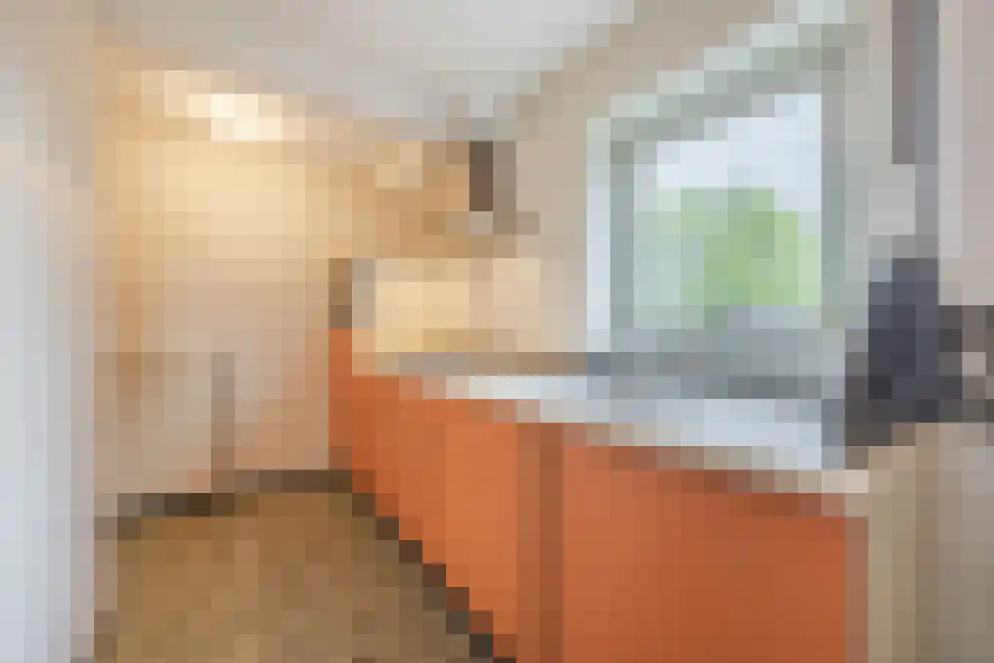 Pater van den Elsenplein 2 Tilburg thumbnail 35