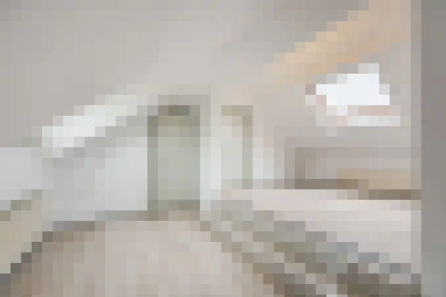 Pater van den Elsenplein 2 Tilburg thumbnail 45