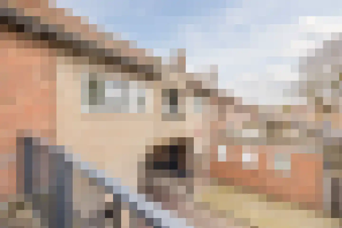 Pater van den Elsenplein 2 Tilburg thumbnail 55