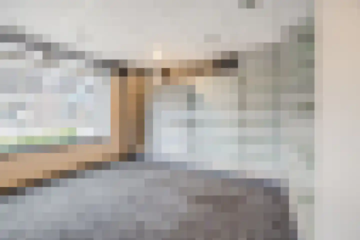 Pater van den Elsenplein 2 Tilburg thumbnail 7
