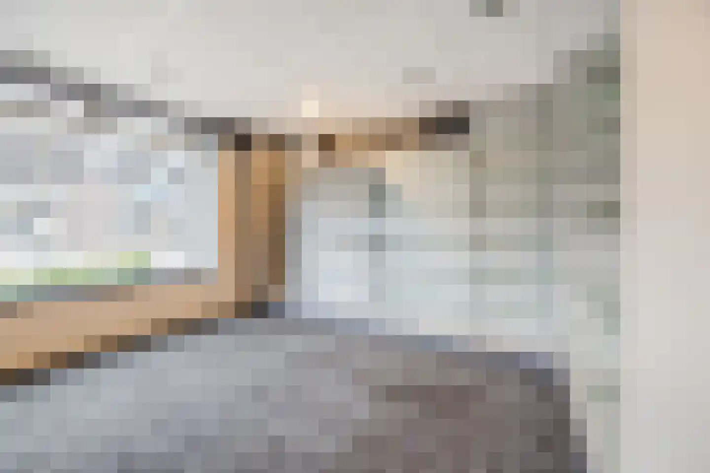 Pater van den Elsenplein 2 Tilburg thumbnail 8