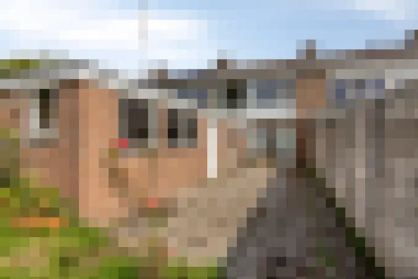 Pater van den Elsenstr 23 Valkenswaard thumbnail 4