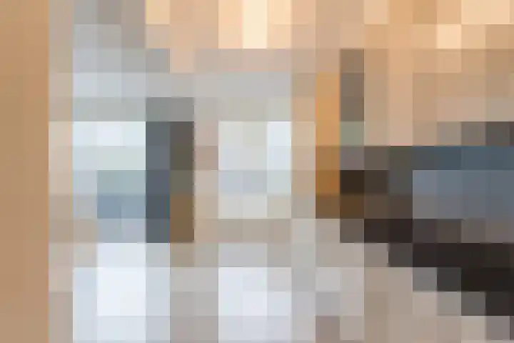 Pater van den Elsenstraat 10 Berkel-Enschot thumbnail 11