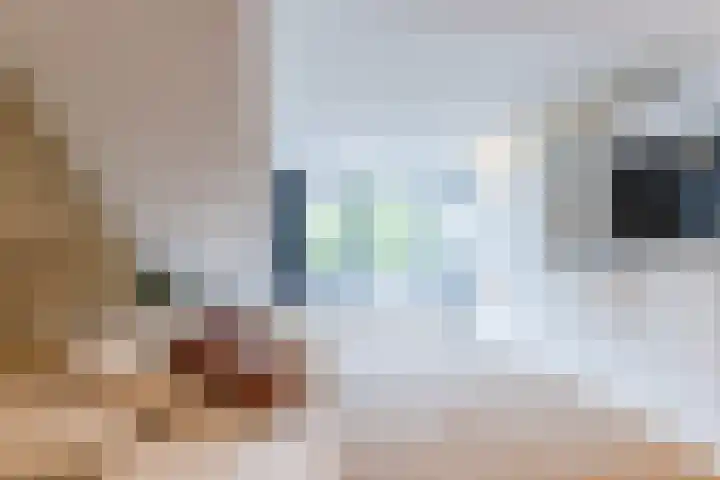Pater van den Elsenstraat 10 Berkel-Enschot thumbnail 15
