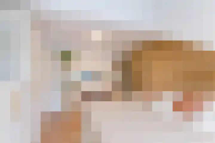 Pater van den Elsenstraat 10 Berkel-Enschot thumbnail 16