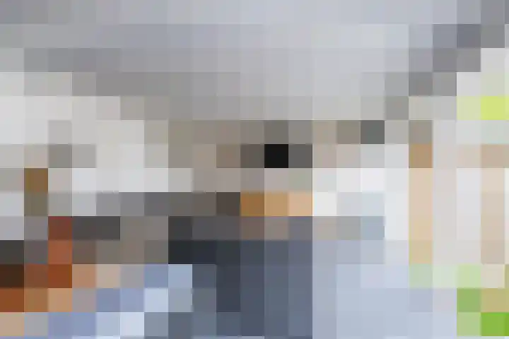 Pater van den Elsenstraat 10 Berkel-Enschot thumbnail 23