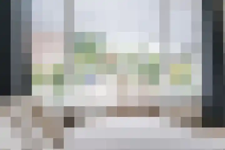 Pater van den Elsenstraat 10 Berkel-Enschot thumbnail 9