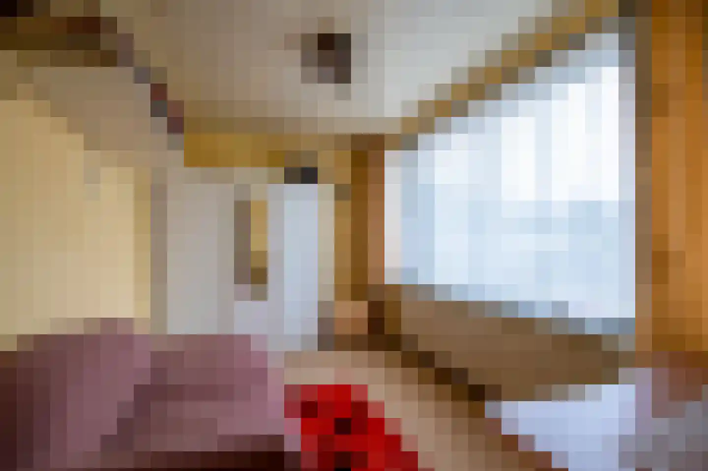 Pater van den Elsenstraat 12 Berkel-Enschot thumbnail 11