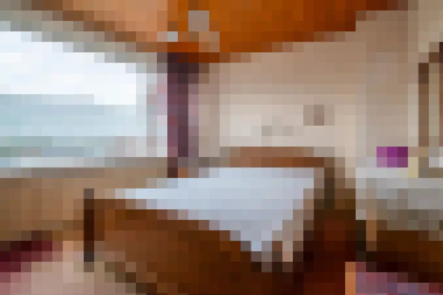 Pater van den Elsenstraat 12 Berkel-Enschot thumbnail 12