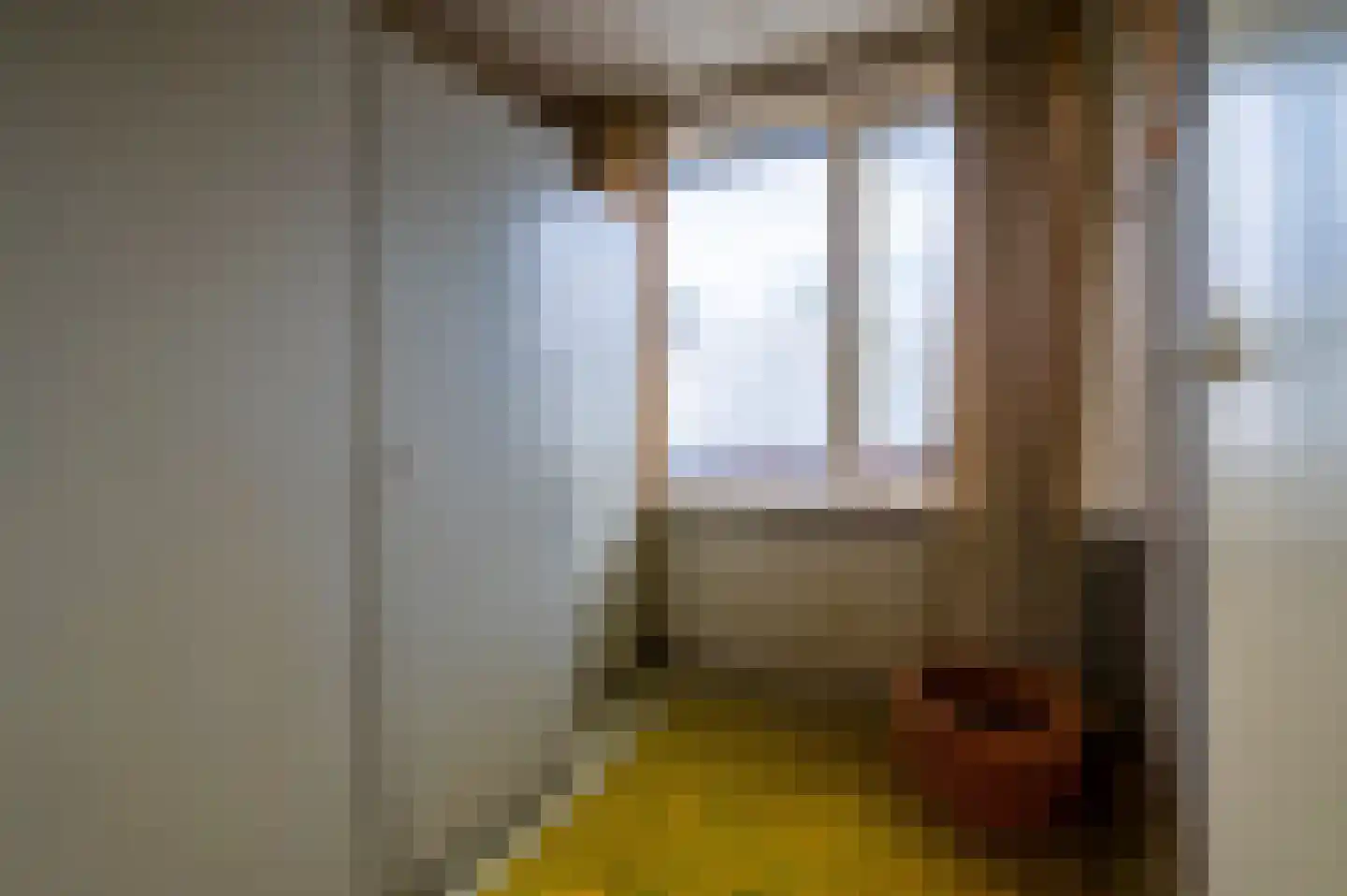 Pater van den Elsenstraat 12 Berkel-Enschot thumbnail 13