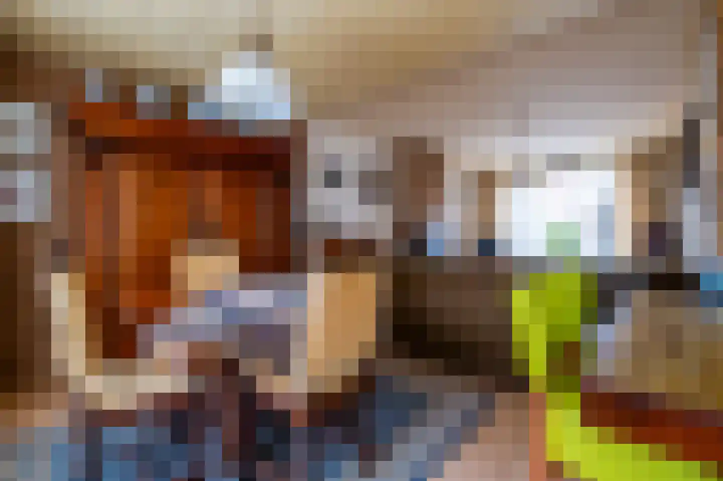Pater van den Elsenstraat 12 Berkel-Enschot thumbnail 6